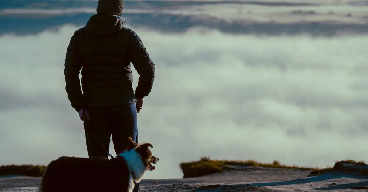 Choosing Pet-Friendly Holiday Destinations