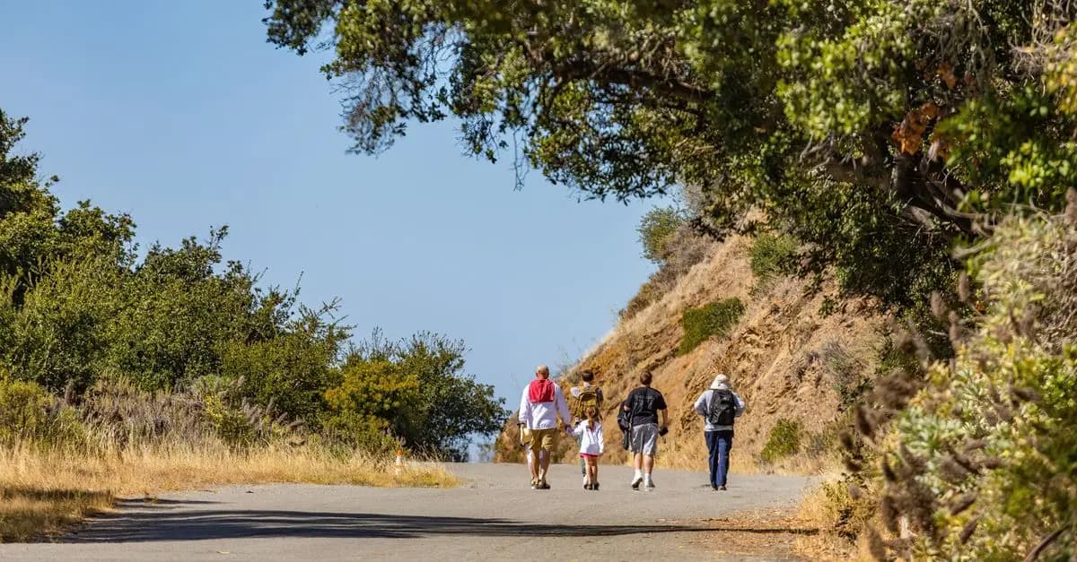 The Ultimate Guide to Family-Friendly Hiking Trails