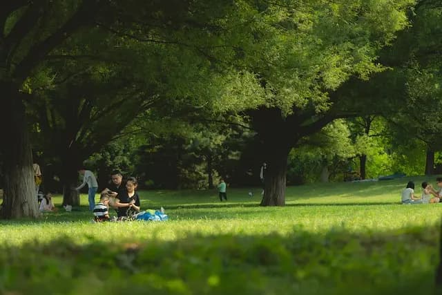 10 erreurs à éviter lors de la planification d'activités familiales