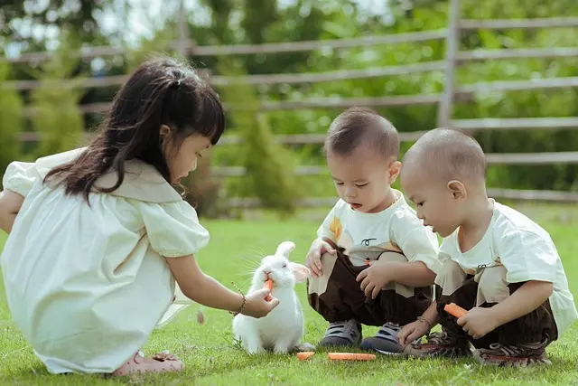 10 Creative Outdoor Activities to Enjoy with Your Family