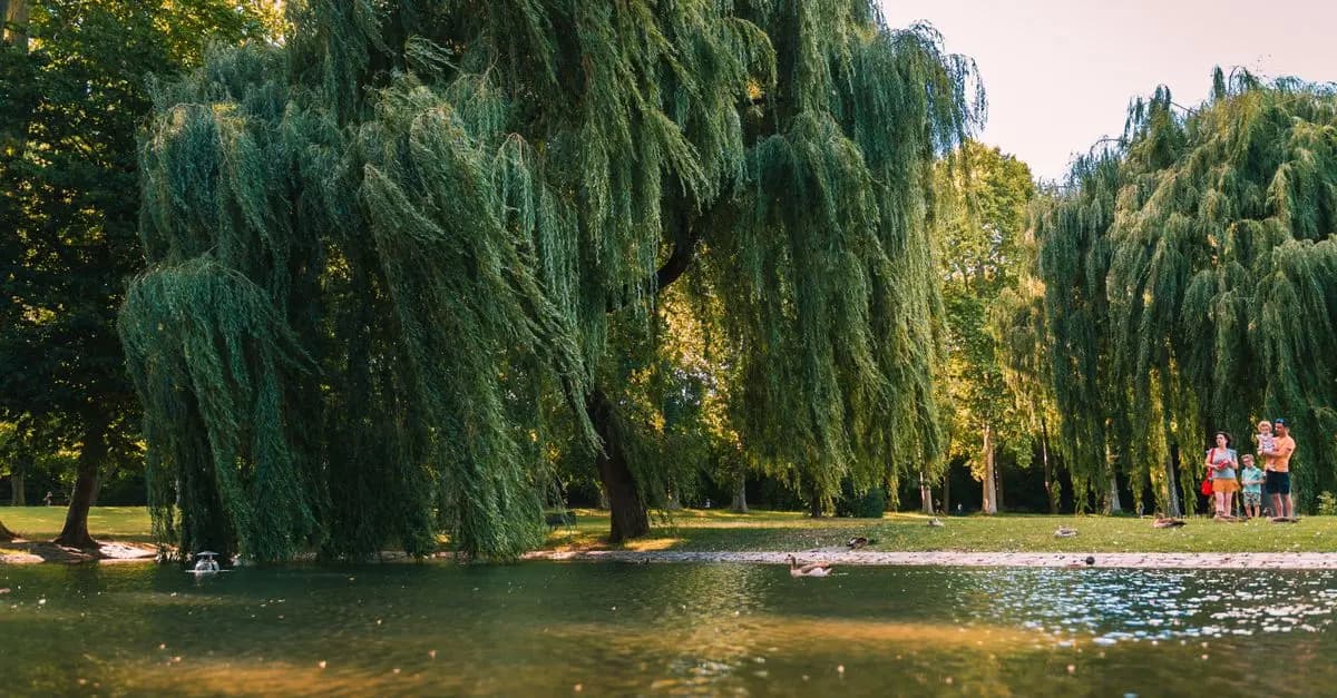 How to Plan a Family Nature Walk: Tips and Ideas