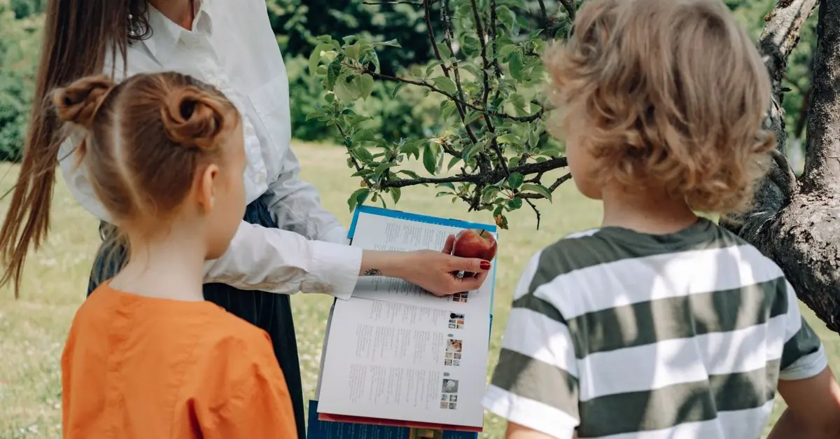 Les Meilleures Activités Éducatives en Plein Air pour la Famille