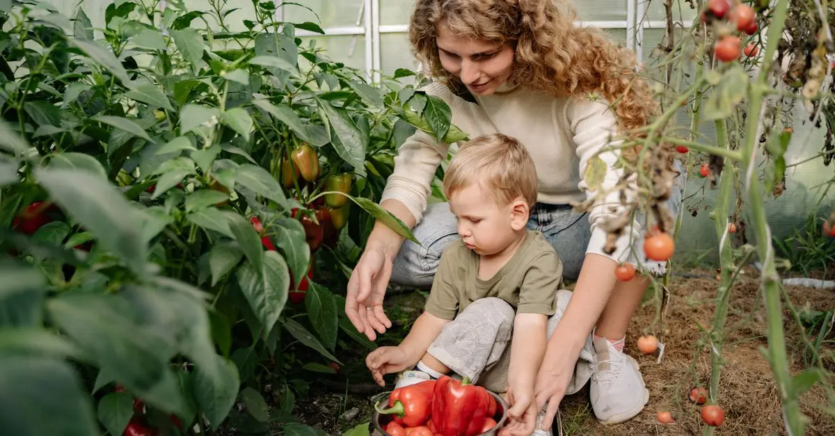 Cultivating a Family Polytunnel Garden