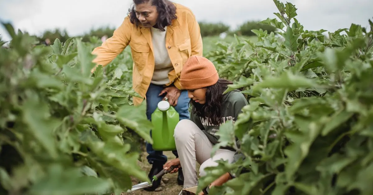 Comment créer un jardin partagé en famille