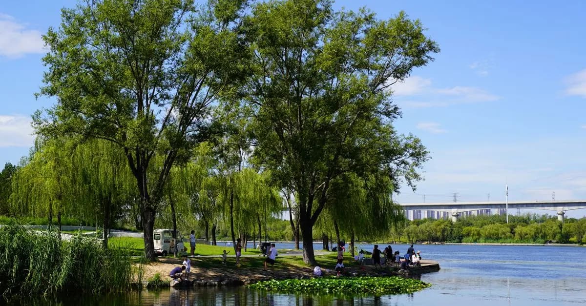 Top 10 Family-Friendly Outdoor Activities for Quality Time