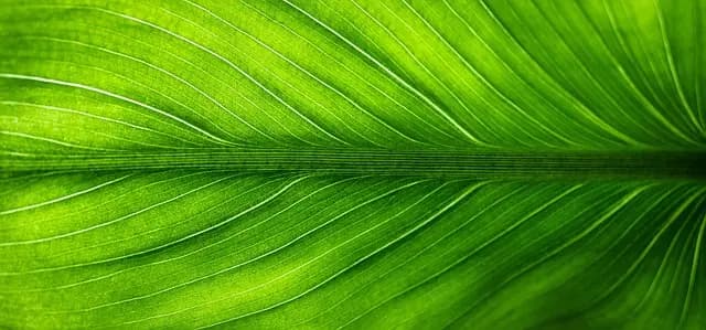 10 Astuces pour Organiser des Vacances Familiales Écologiques