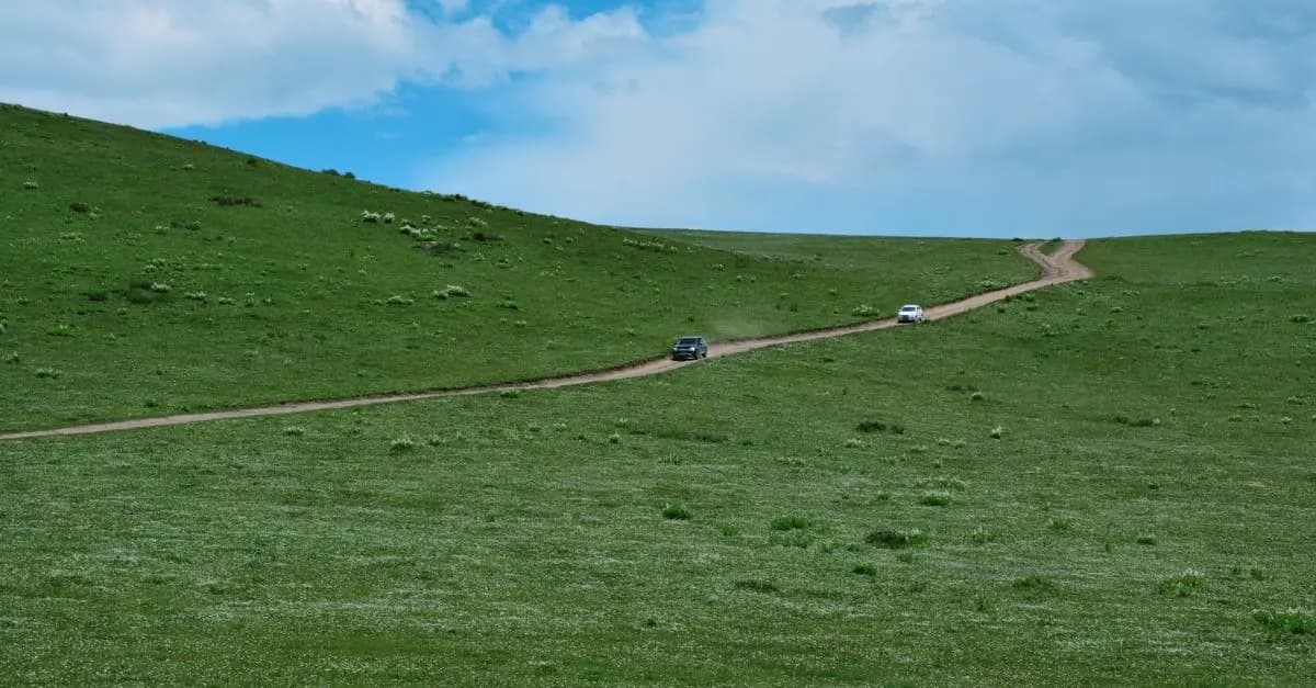 Comment préparer un road trip réussi en famille