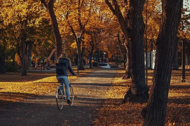 10 Activités de Plein Air Incontournables à Faire en Famille