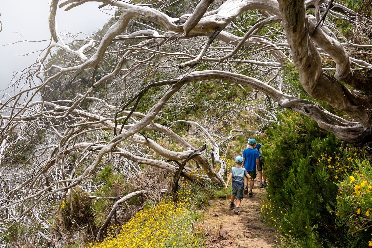 The Ultimate Guide to Planning Family Outdoor Adventures