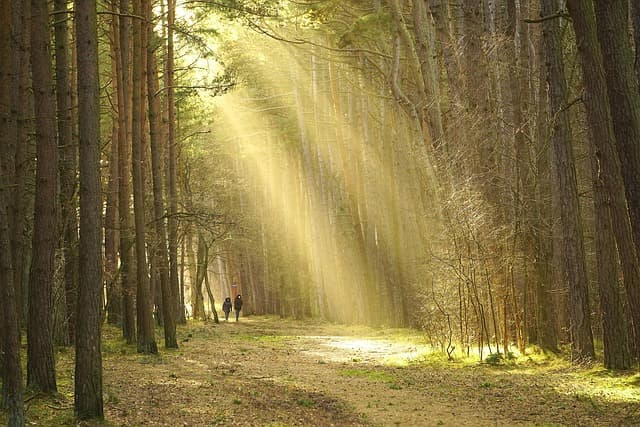 Top 10 Outdoor Activities for Family Fun