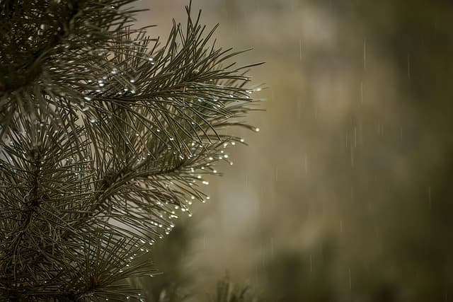 Top 10 Family-Friendly Indoor Activities for Rainy Days